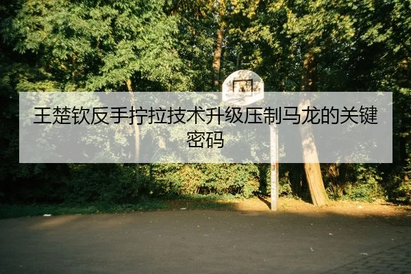 wang-chu-qin-fan-shou-ning-la-ji-shu-sheng-ji-ya-zhi-ma-long-de-guan-jian-mi-ma-2-440.jpg