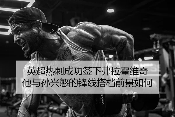 英超热刺成功签下弗拉霍维奇 他与孙兴慜的锋线搭档前景如何